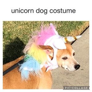 UNICORN PASTEL RAINBOW DOG HEAD DRESS COSTUME PARADE. PARTY FREE POOPY BAG ROLL